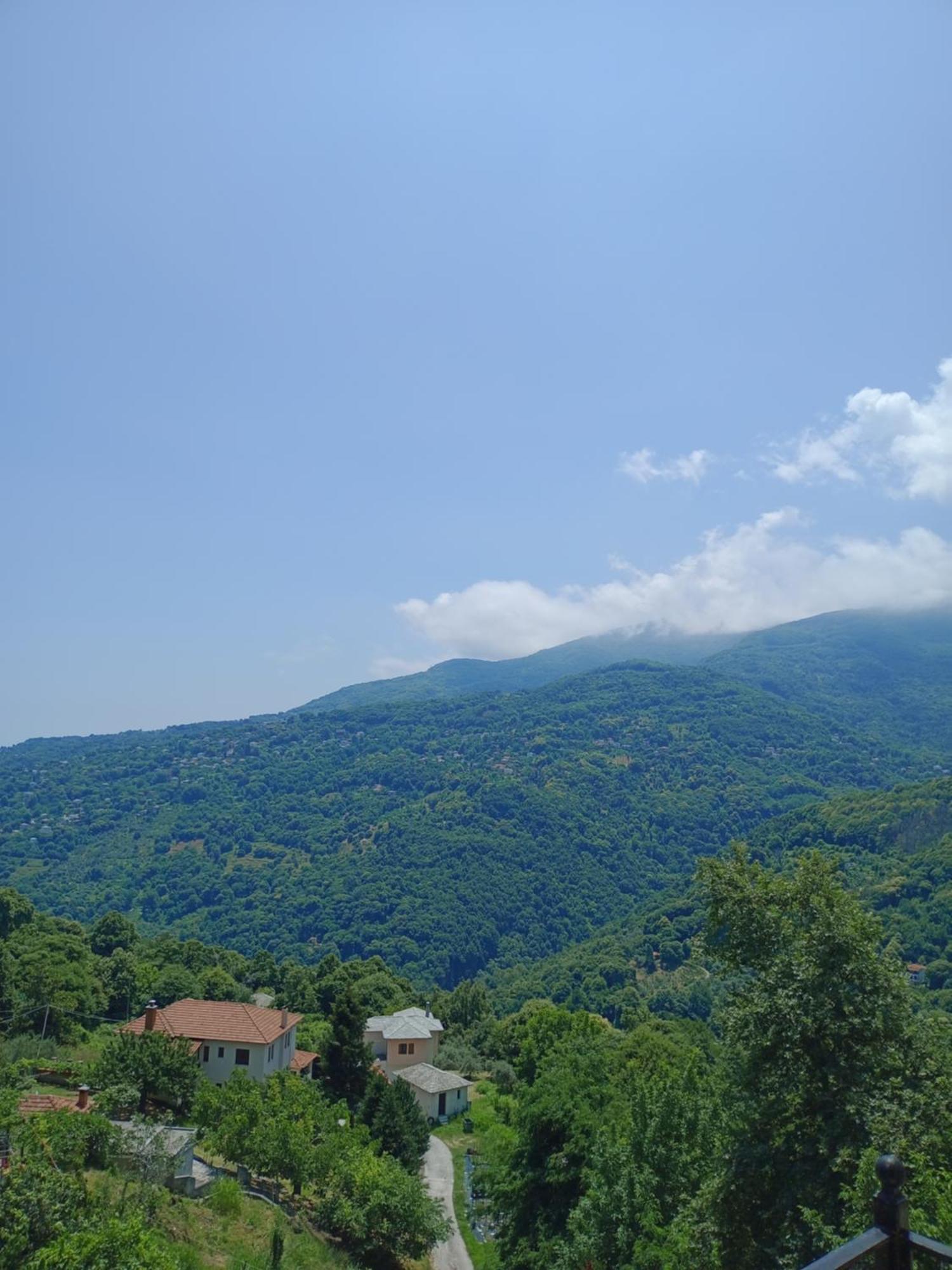 Hotel Erotas Áyios Dhimítrios Kültér fotó